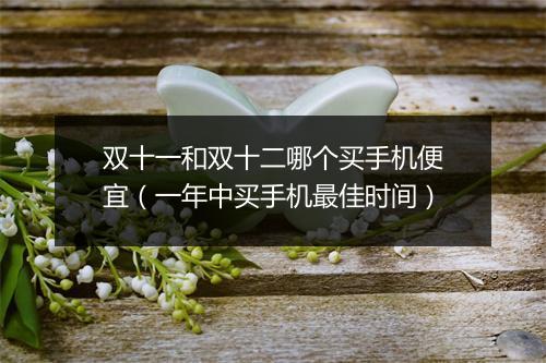 双十一和双十二哪个买手机便宜（一年中买手机最佳时间）
