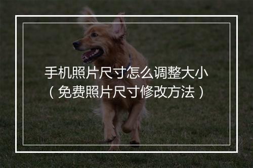 手机照片尺寸怎么调整大小（免费照片尺寸修改方法）
