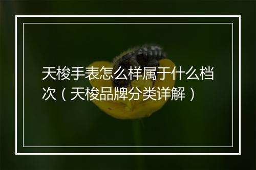 天梭手表怎么样属于什么档次（天梭品牌分类详解）