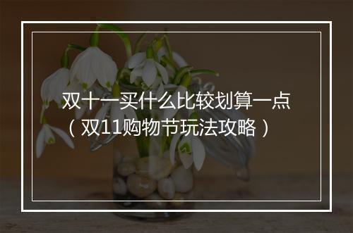 双十一买什么比较划算一点（双11购物节玩法攻略）