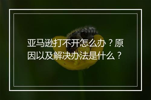 亚马逊打不开怎么办？原因以及解决办法是什么？