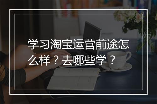 学习淘宝运营前途怎么样？去哪些学？