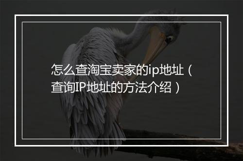 怎么查淘宝卖家的ip地址（查询IP地址的方法介绍）