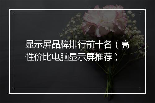 显示屏品牌排行前十名（高性价比电脑显示屏推荐）