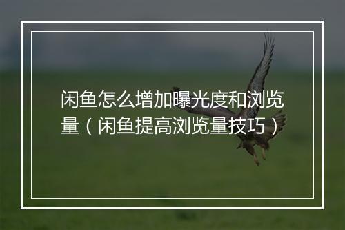 闲鱼怎么增加曝光度和浏览量（闲鱼提高浏览量技巧）