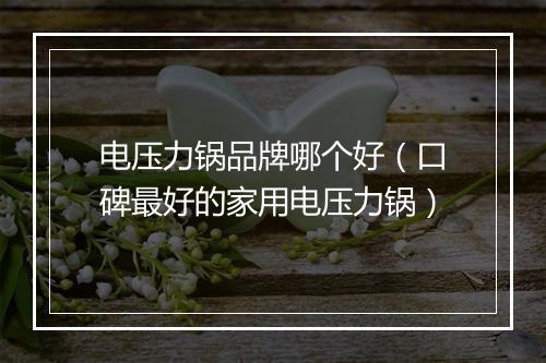 电压力锅品牌哪个好（口碑最好的家用电压力锅）