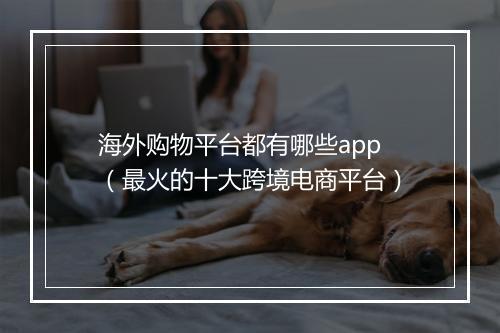 海外购物平台都有哪些app（最火的十大跨境电商平台）