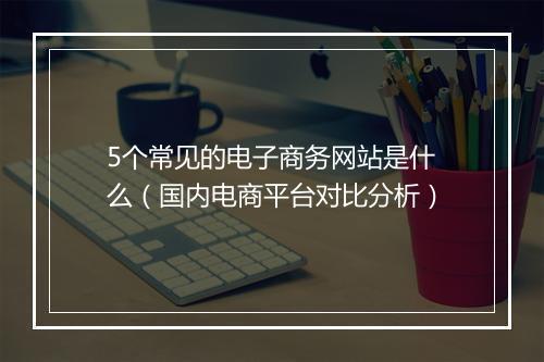 5个常见的电子商务网站是什么（国内电商平台对比分析）