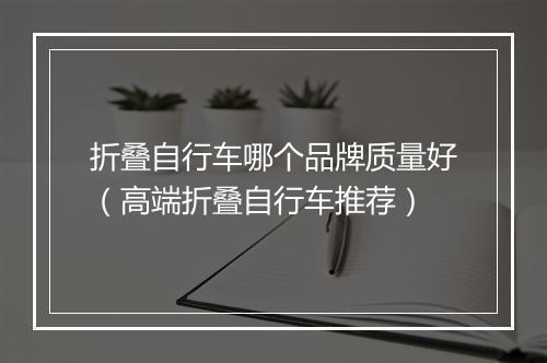 折叠自行车哪个品牌质量好（高端折叠自行车推荐）