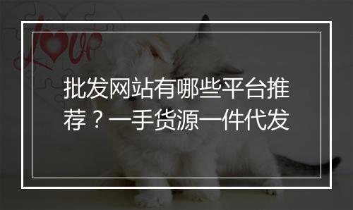 批发网站有哪些平台推荐？一手货源一件代发