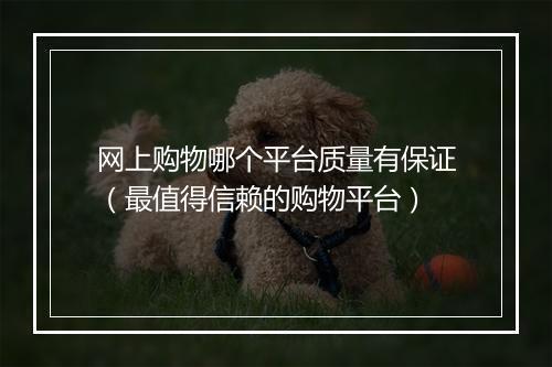 网上购物哪个平台质量有保证（最值得信赖的购物平台）