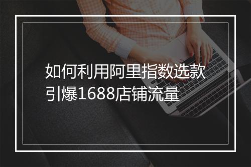 如何利用阿里指数选款引爆1688店铺流量