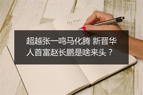 超越张一鸣马化腾 新晋华人首富赵长鹏是啥来头？