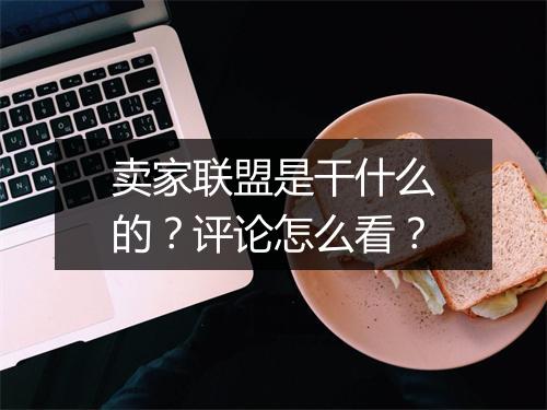 卖家联盟是干什么的？评论怎么看？