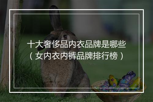 十大奢侈品内衣品牌是哪些（女内衣内裤品牌排行榜）