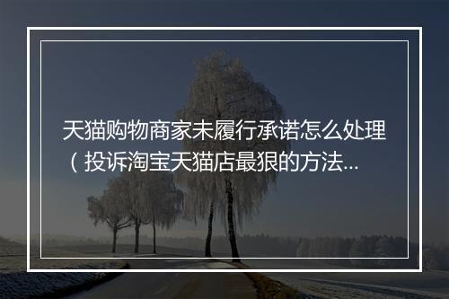 天猫购物商家未履行承诺怎么处理（投诉淘宝天猫店最狠的方法）