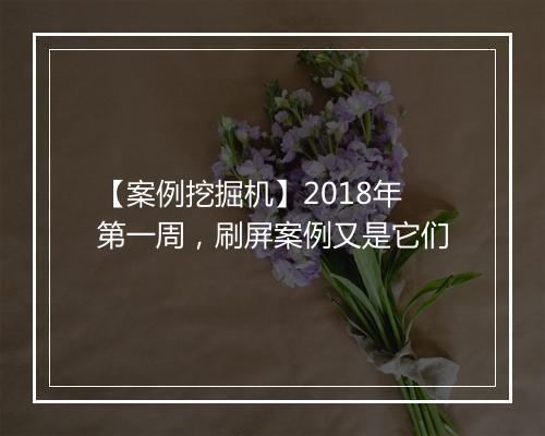 【案例挖掘机】2018年第一周，刷屏案例又是它们