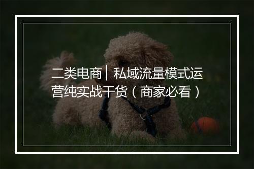 二类电商 ▏私域流量模式运营纯实战干货（商家必看）