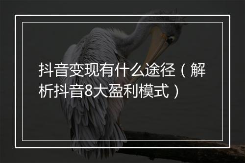 抖音变现有什么途径（解析抖音8大盈利模式）