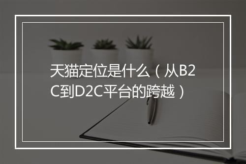 天猫定位是什么（从B2C到D2C平台的跨越）