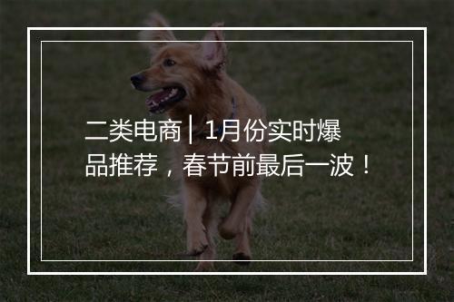 二类电商 ▏1月份实时爆品推荐，春节前最后一波！