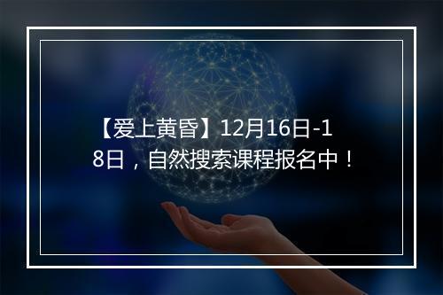 【爱上黄昏】12月16日-18日，自然搜索课程报名中！