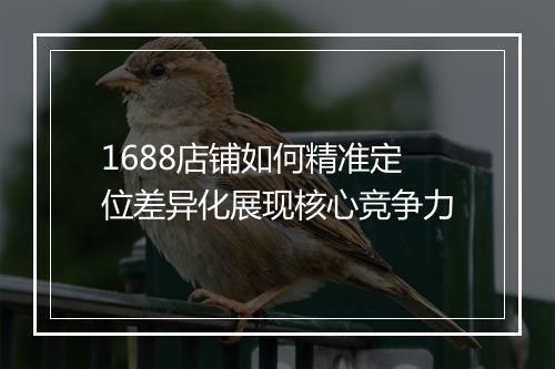 1688店铺如何精准定位差异化展现核心竞争力