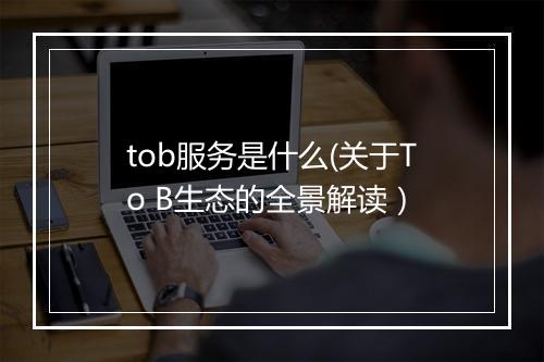 tob服务是什么(关于To B生态的全景解读）