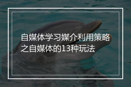 自媒体学习媒介利用策略之自媒体的13种玩法