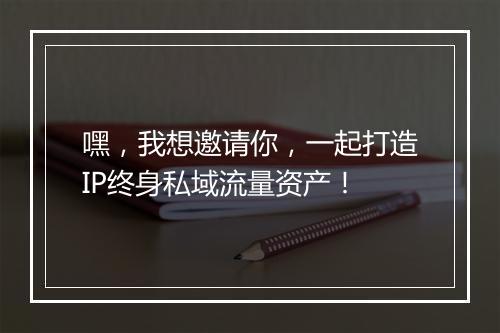 嘿，我想邀请你，一起打造IP终身私域流量资产！