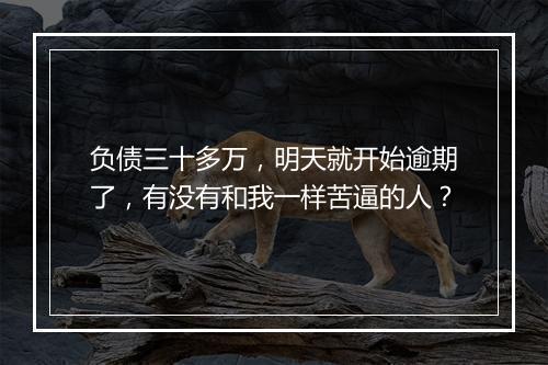 负债三十多万，明天就开始逾期了，有没有和我一样苦逼的人？