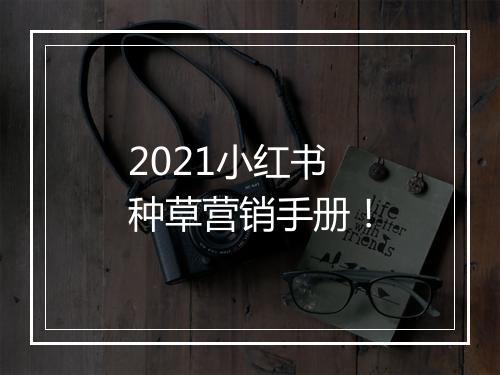 2021小红书种草营销手册！