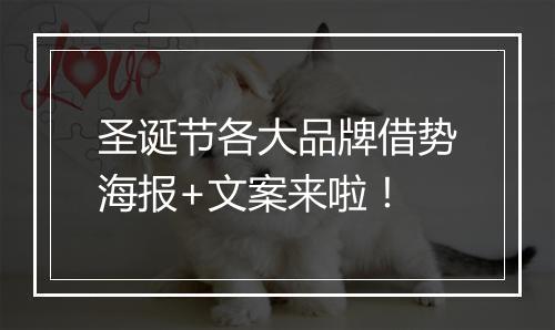 圣诞节各大品牌借势海报+文案来啦！