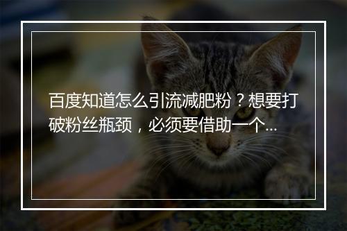 百度知道怎么引流减肥粉？想要打破粉丝瓶颈，必须要借助一个有力的平台