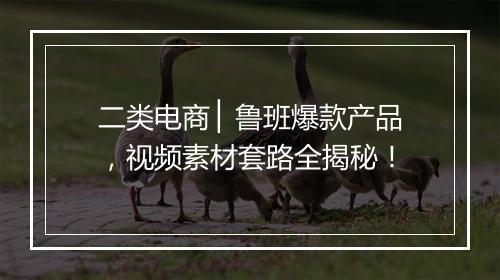 二类电商 ▏鲁班爆款产品，视频素材套路全揭秘！