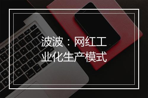 波波：网红工业化生产模式