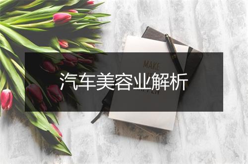 汽车美容业解析