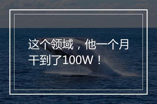 这个领域，他一个月干到了100W！