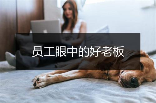 员工眼中的好老板