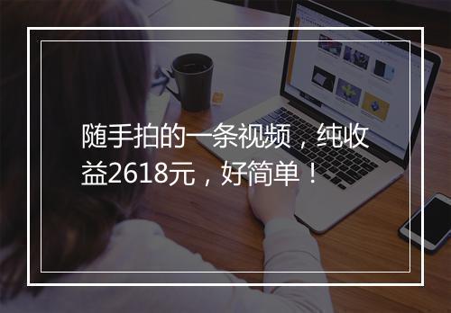 随手拍的一条视频，纯收益2618元，好简单！
