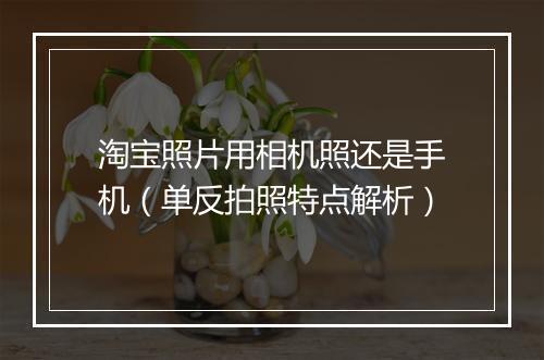淘宝照片用相机照还是手机（单反拍照特点解析）