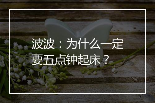 波波：为什么一定要五点钟起床？