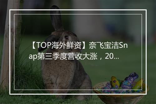 【TOP海外鲜资】奈飞宝洁Snap第三季度营收大涨，2021年营销行业不容错过的七大趋势