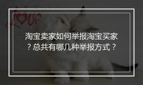 淘宝卖家如何举报淘宝买家？总共有哪几种举报方式？