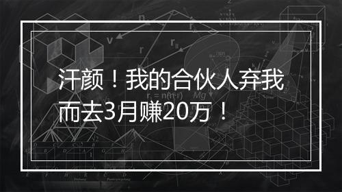 汗颜！我的合伙人弃我而去3月赚20万！