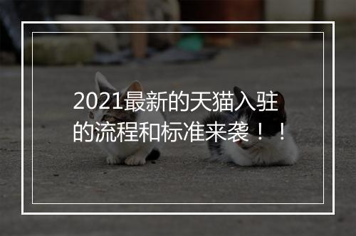 2021最新的天猫入驻的流程和标准来袭！！