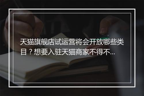 天猫旗舰店试运营将会开放哪些类目？想要入驻天猫商家不得不了解的入驻捷径