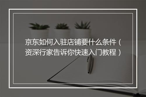 京东如何入驻店铺要什么条件（资深行家告诉你快速入门教程）