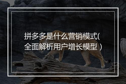 拼多多是什么营销模式(全面解析用户增长模型）