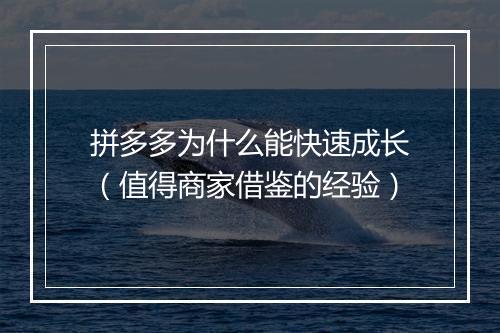 拼多多为什么能快速成长（值得商家借鉴的经验）